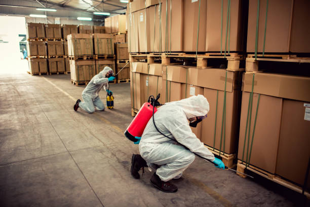 Best Insect Control  in Ly Lake, IL