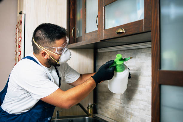 Best Cockroach Control Services  in Ly Lake, IL