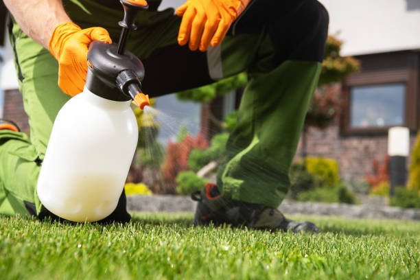 Best Termite Control Services  in Ly Lake, IL