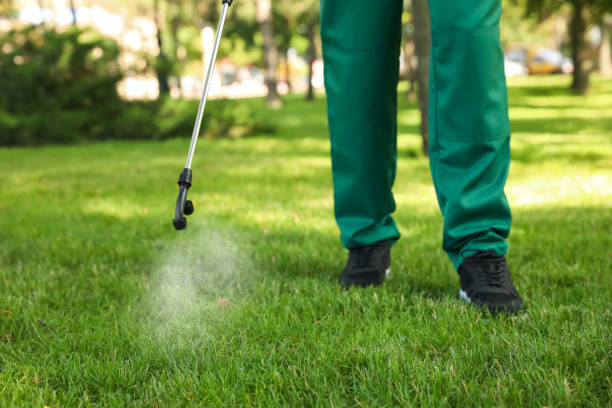 Best Wasp Removal Services  in Ly Lake, IL