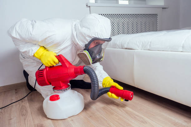 Trusted Lily Lake, IL Pest Control Experts