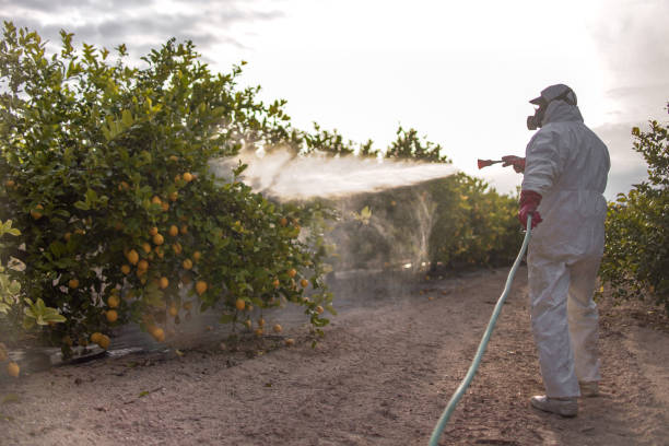 Best Ant Control Services  in Ly Lake, IL