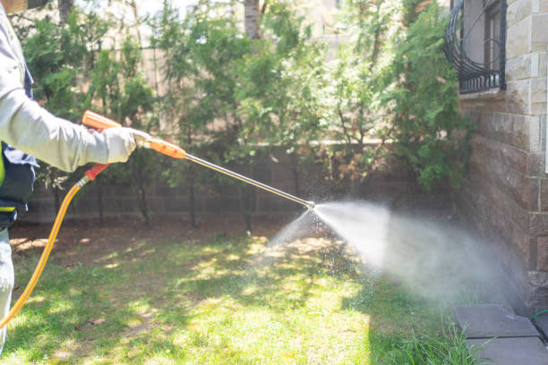 Best Affordable Pest Control Services  in Ly Lake, IL