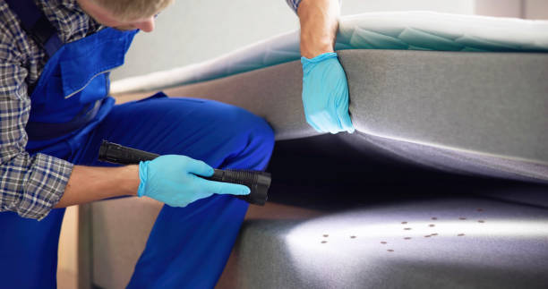 Best Pest Removal Services  in Ly Lake, IL