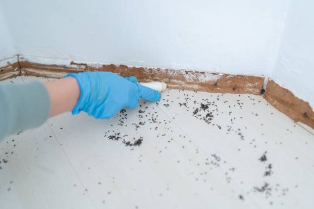 Best Ant Control Services  in Ly Lake, IL