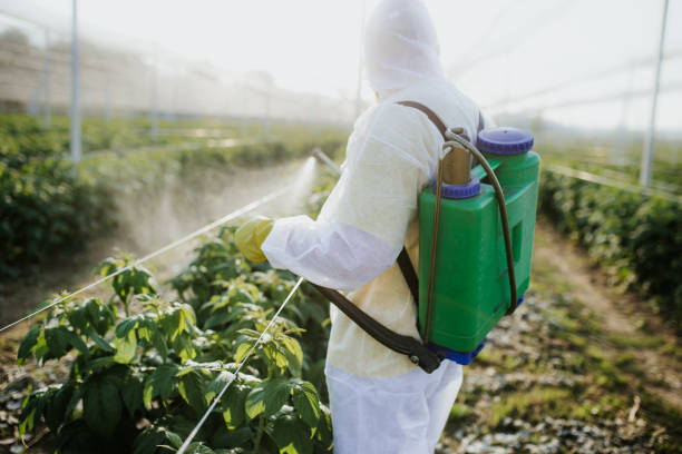 Best Pest Inspection Near Me  in Ly Lake, IL